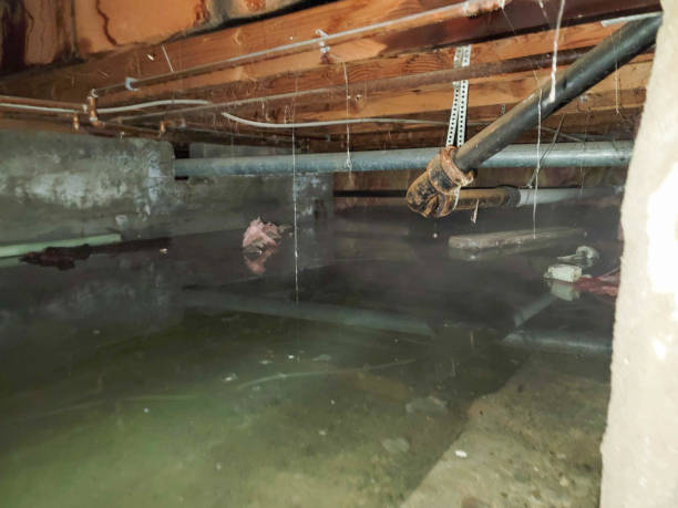 Best Residential water damage restoration  in Page, AZ
