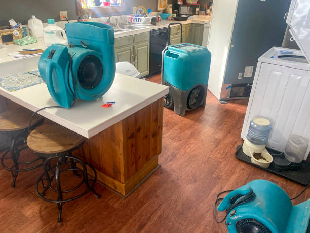Best Basement water damage restoration  in Page, AZ