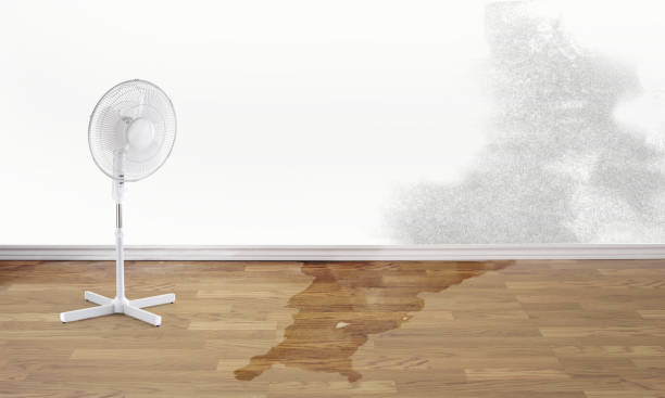 24/7 water damage repair in Page, AZ