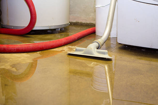 Best Water damage restoration mold remediation  in Page, AZ