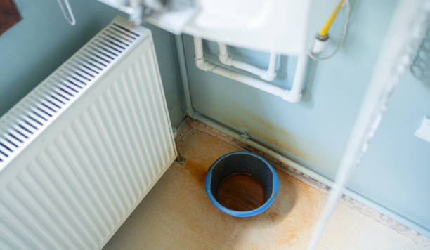 Best Mold removal after water damage  in Page, AZ