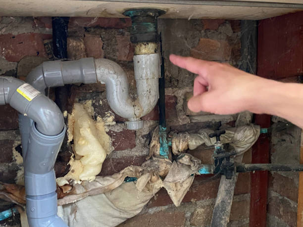 Best Carpet water damage restoration  in Page, AZ