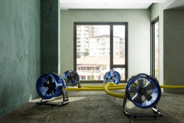 Best Emergency water damage restoration  in Page, AZ